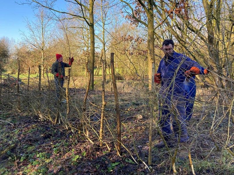 Gratis workshop voor erfgoedorganisaties om meer vrijwilligers te werven