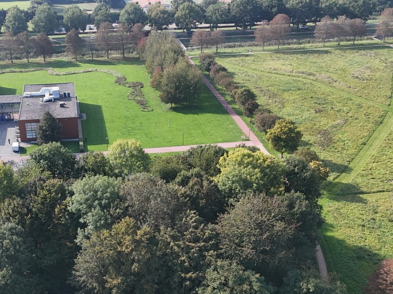 Luchtfoto van bomen en grasveld
