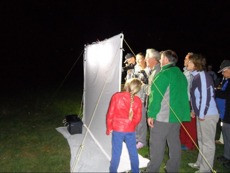 Ontdek het nachtleven van de natuur bij IVN Zeewolde