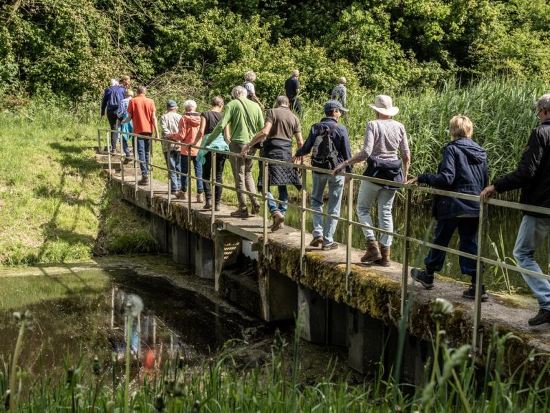 Volop zomeractiviteiten bij IVN Zeewolde in augustus
