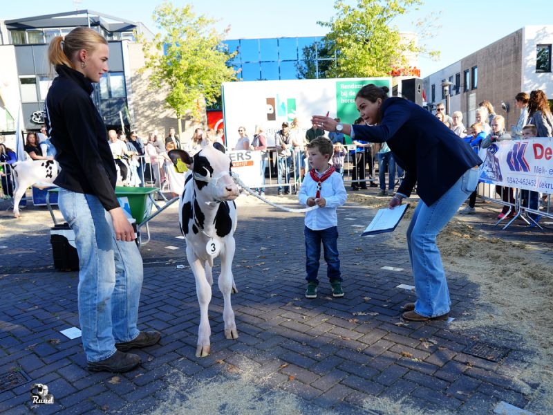 Zeewolde maakt zich op voor Zeewolde bij de Pinken