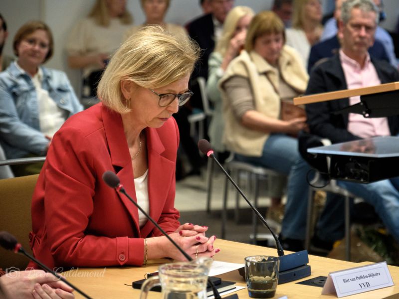 Gemeenteraad stemt voor inrichting commissies, VVD had proces graag anders gezien