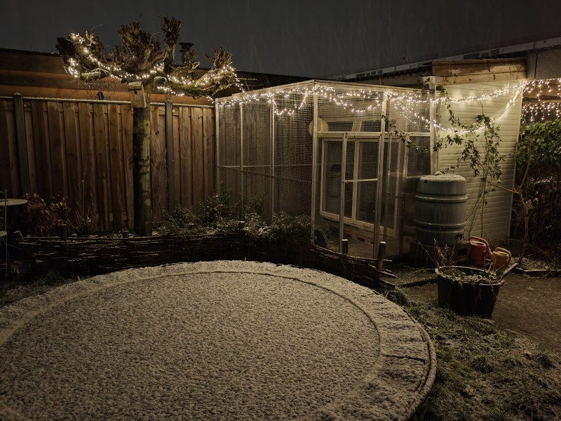 Thundersnow in Zeewolde: onweer tijdens sneeuwbui