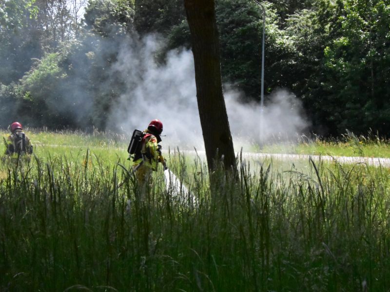 Pluisjesbrand door wind snel verspreid