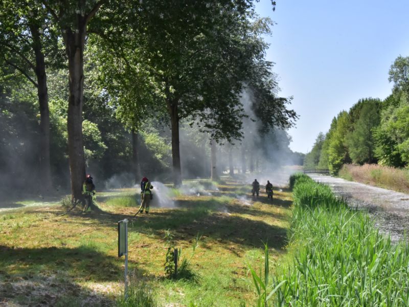 Brandweer Zeewolde ziet jaarlijks pluisjesbranden: “Droogte speelt grote rol”