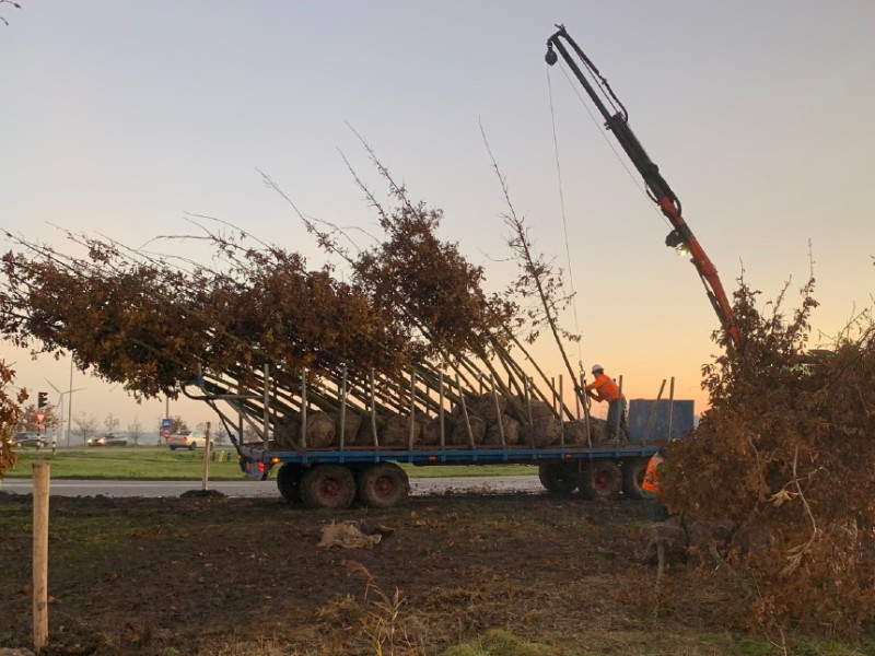 Aanplant nieuwe bomen en werkzaamheden voor natter natuurgebied in volle gang bij Gooise weg