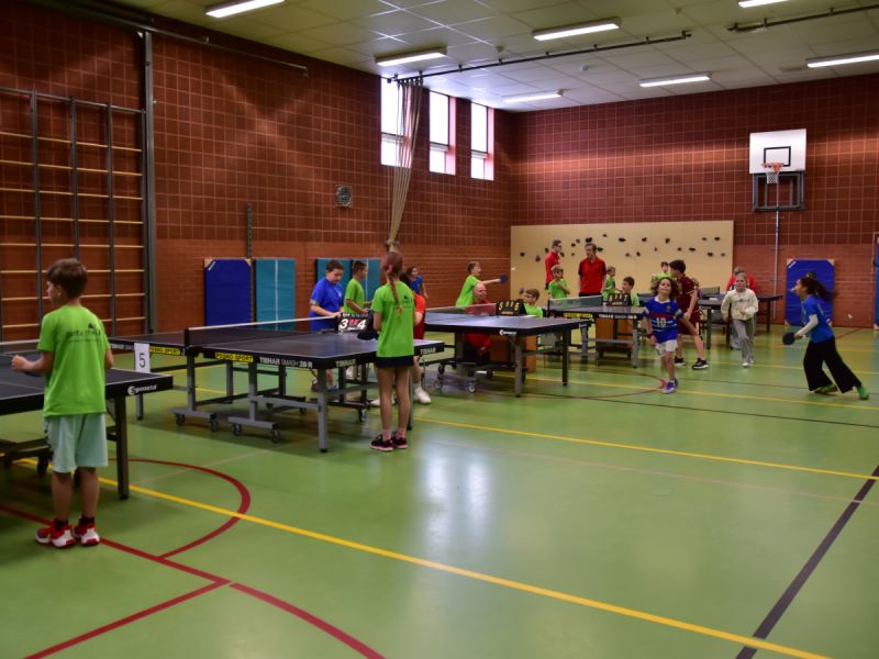 Groot succes voor eerste scholentoernooi tafeltennis in Zeewolde