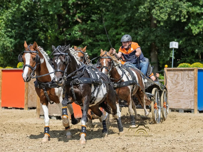 Zeewolder menners presteren op NK en plaatsen zich voor WK