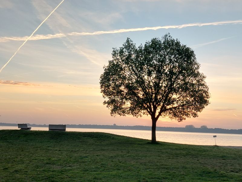 Wandeling bij zonsopkomst om stil te staan bij suïcidaliteit