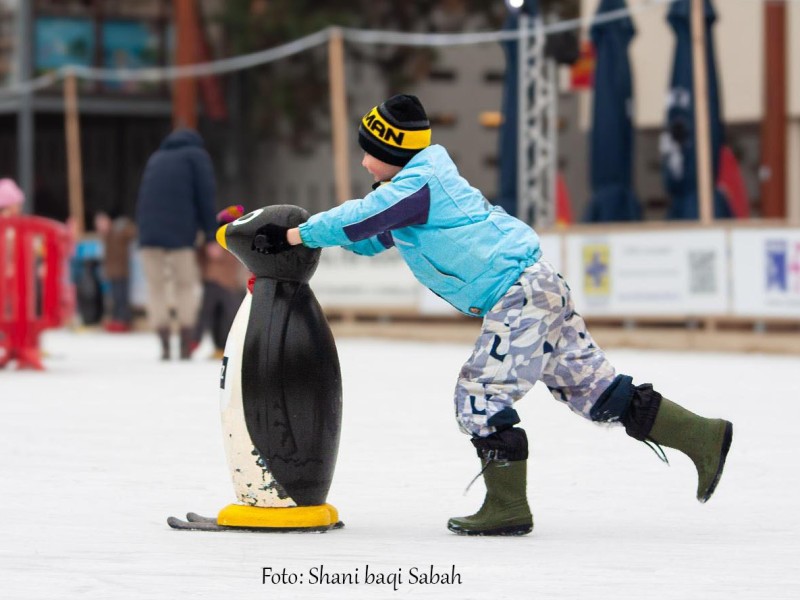 Nieuwe bestuursleden gezocht voor Zeewolde Winterworld