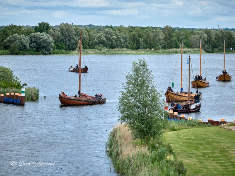 Historische botters halen bokking in haven van Zeewolde