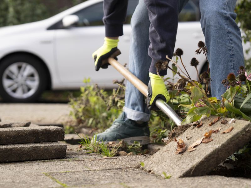 Groen, gezellig en verkoelend: win een groene straat make-over