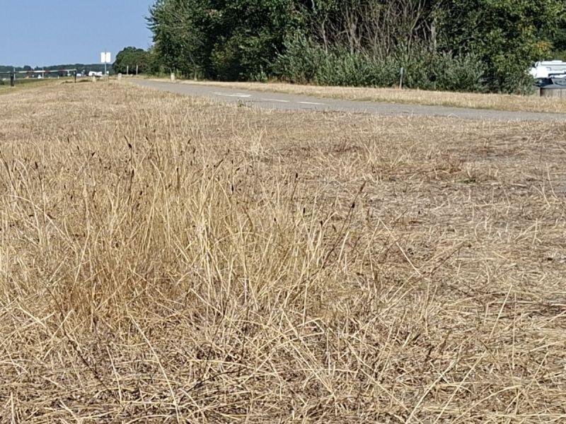 Eerste waterbeperking door droogte in Flevoland, beregenen mag nog wel