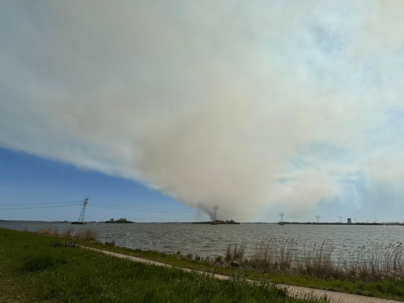 Grote natuurbrand bij ’t Harde: rook en brandlucht ook in Zeewolde waarneembaar