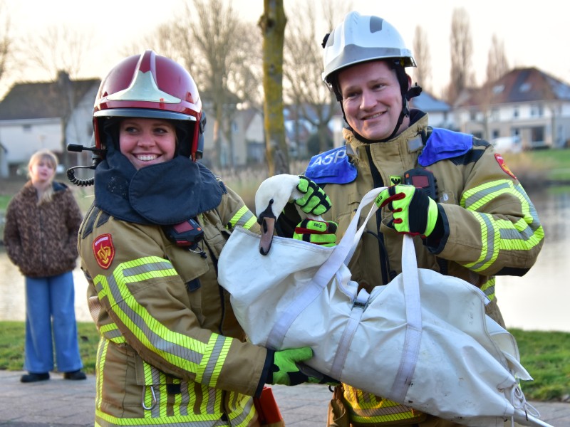 Zwaan klem tussen daken op Weteringplein, brandweer biedt uitkomst