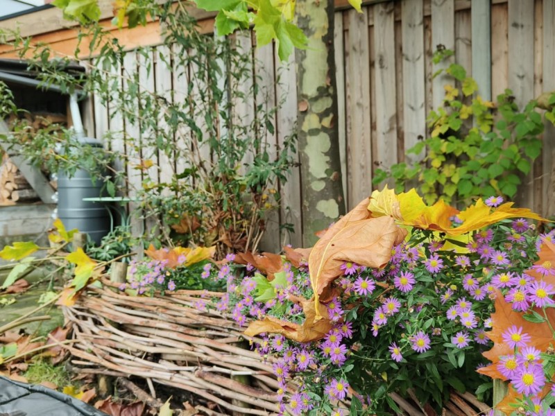 Foto van een tuin met herfstbladeren
