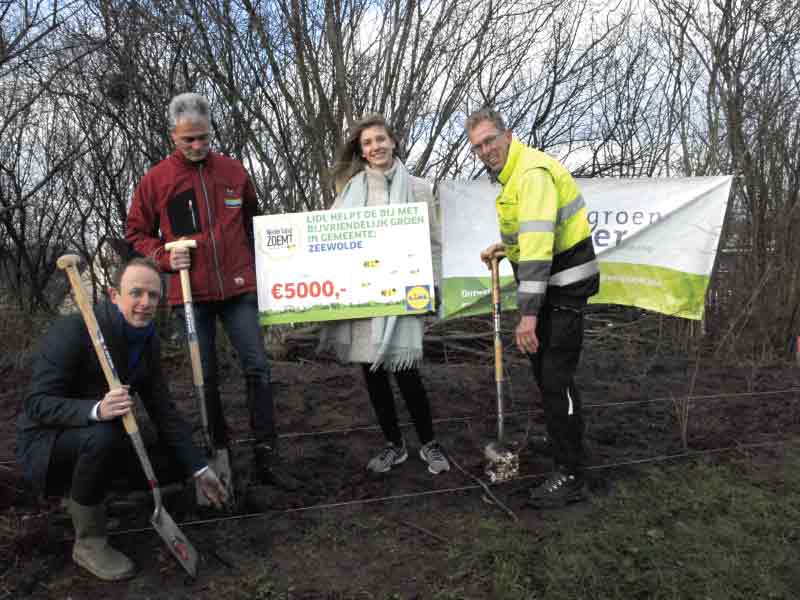 Lidl schenkt 1.200 planten aan bijvriendelijk Zeewolde