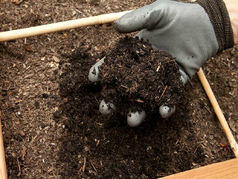 Zeewolde doet mee aan landelijke Compostdag