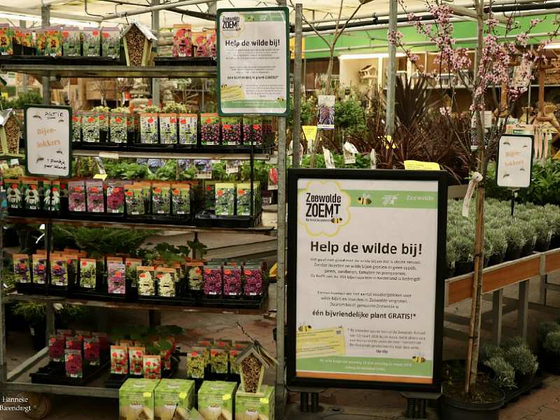 Bijvriendelijke planten bij tuincentrum Oosteinde