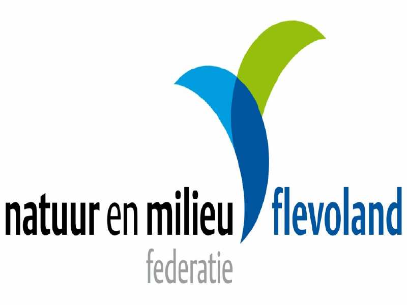 Logo NMF