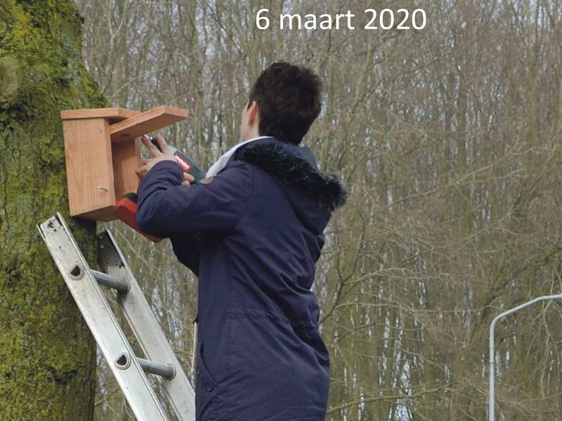 IVN Vogelhuisjes 