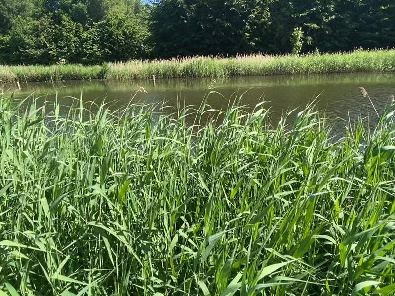 Lokale Omroep Zeewolde