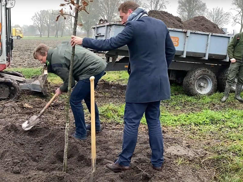 Nieuwe gevarieerde beplanting langs Schollevaarweg