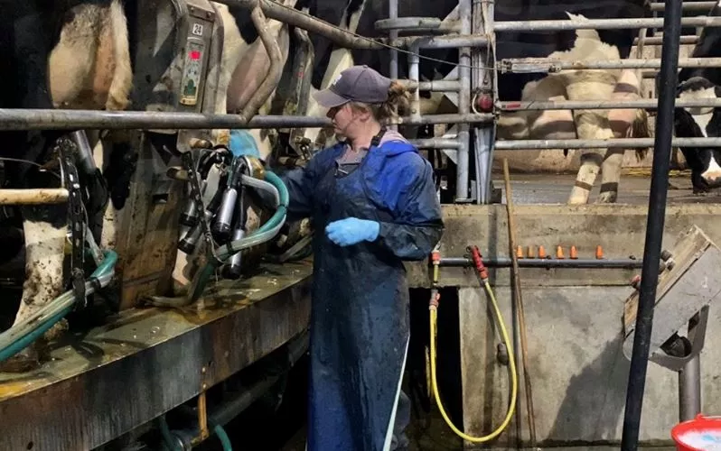 Kijkje in het boerenleven