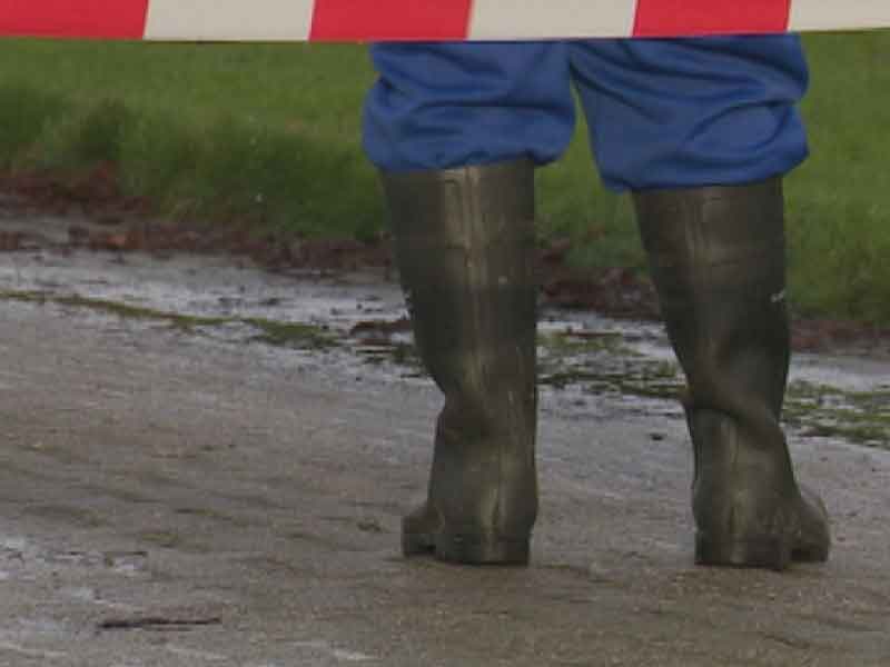 Vogelgriep bij derde pluimveebedrijf 