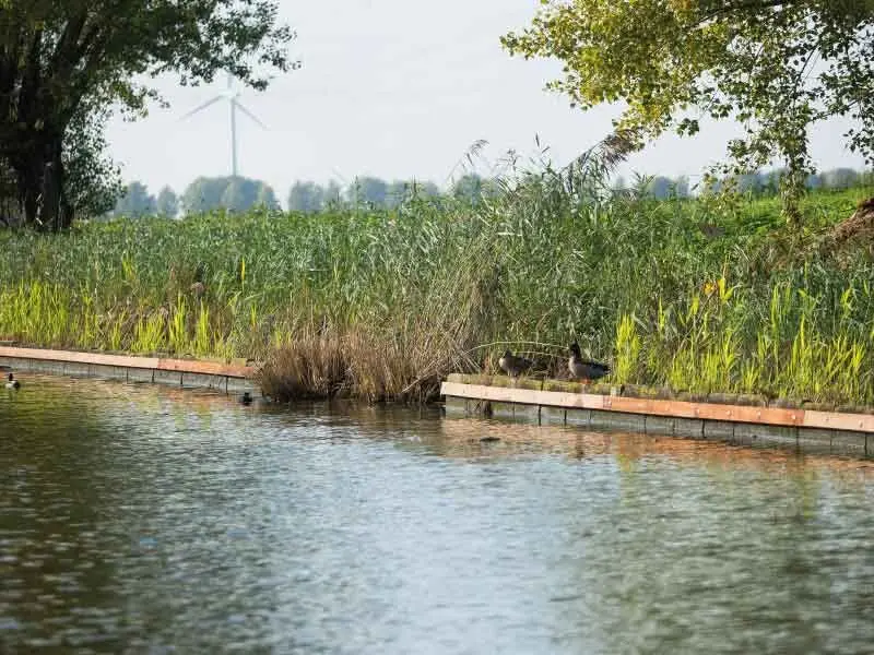 Flevoland zet komende jaren in op verbeteren van water