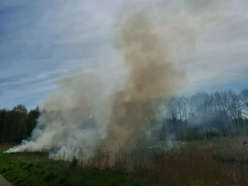 Politie onderzoekt bermbranden
