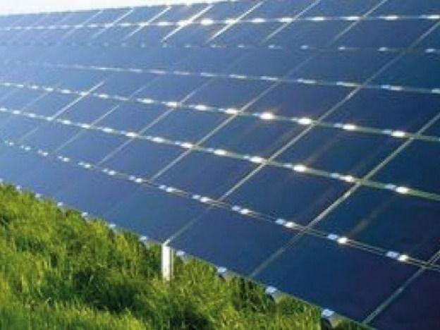 Zeewoldenaar blijft strijden tegen komst zonnepark in bos