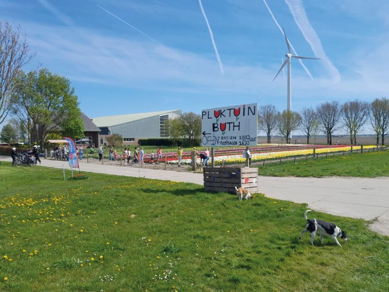 Geniet van de bloemen maar behandel ze met respect Blijf uit de bollen!