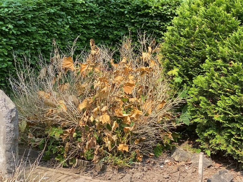 37 graven uit Zeewolde blijven in oorspronkelijke staat