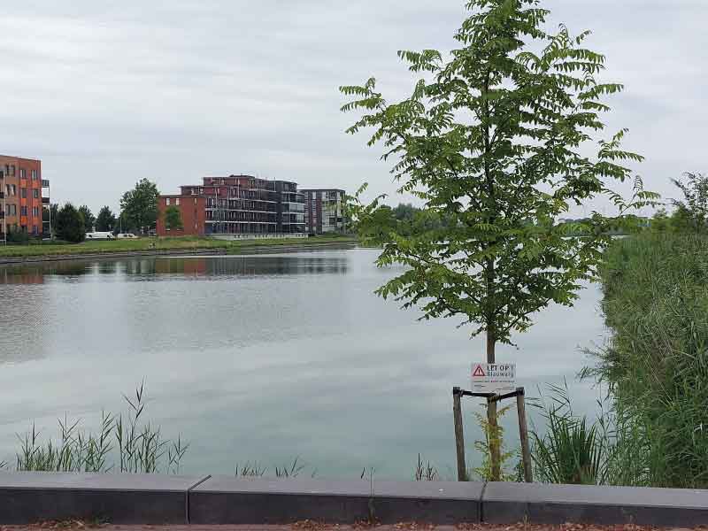 Blauwalg op diverse plekken in Zeewolde
