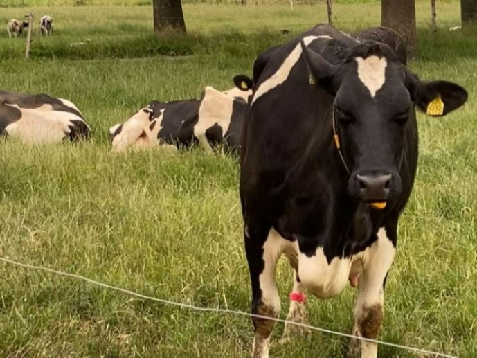 Zeewolde Kiest richt zich op het klimaat