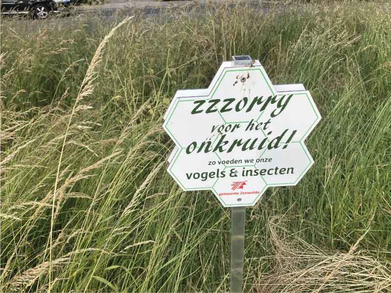 Zzzorry voor het onkruid