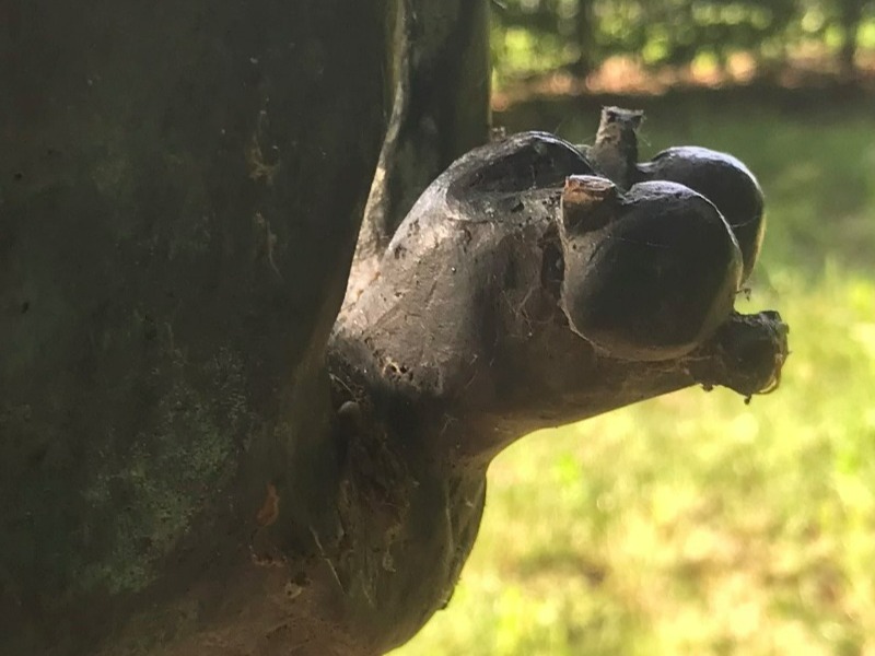 Vernielingen aan Vlinder-monument 