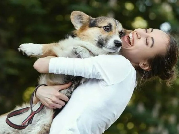 Politie haalt hond uit het water