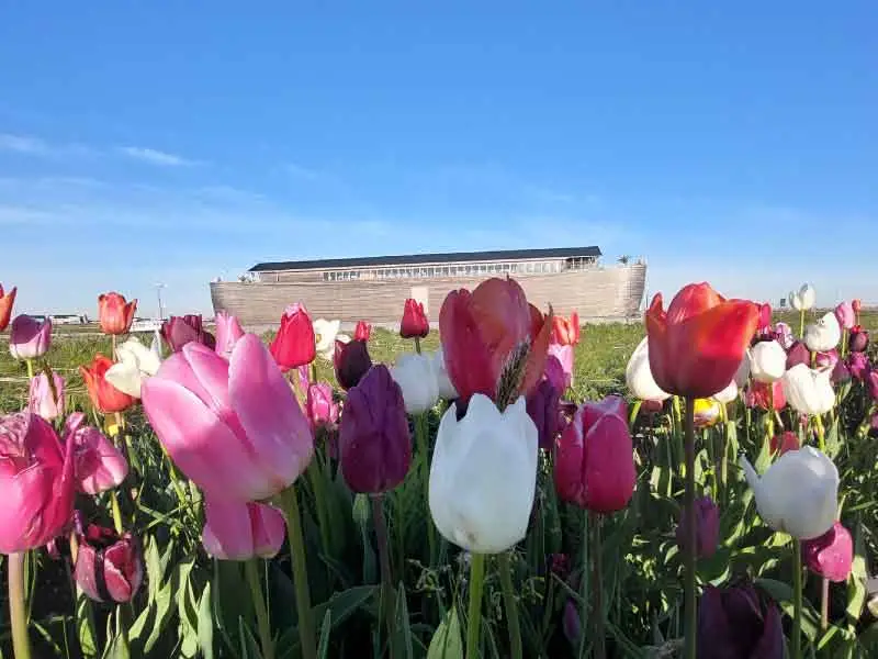 De Ark is vanaf Pasen weer geopend in Zeewolde