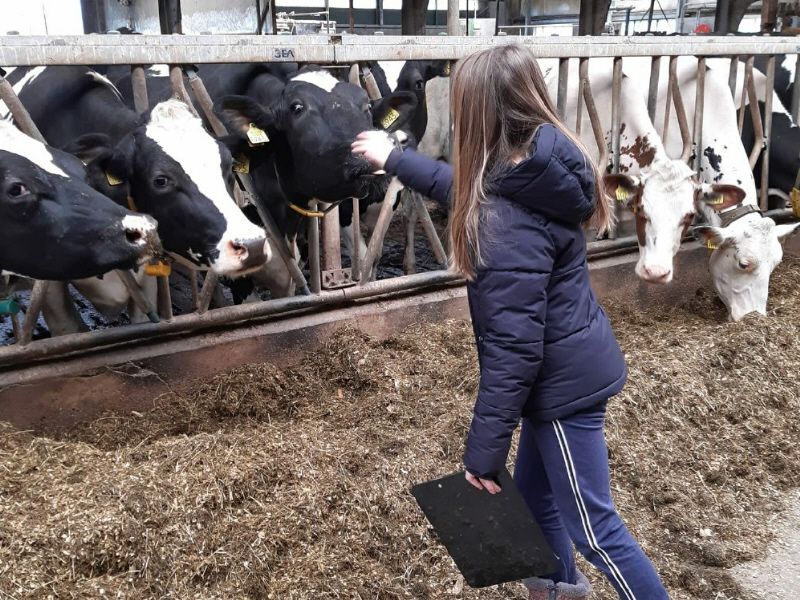 Leerlingen Obs De Wetering op bezoek bij ‘Bij Boer Sjaak”