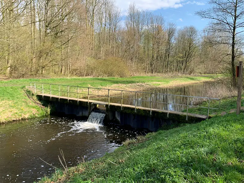 Kwelwater in bodem van groot belang