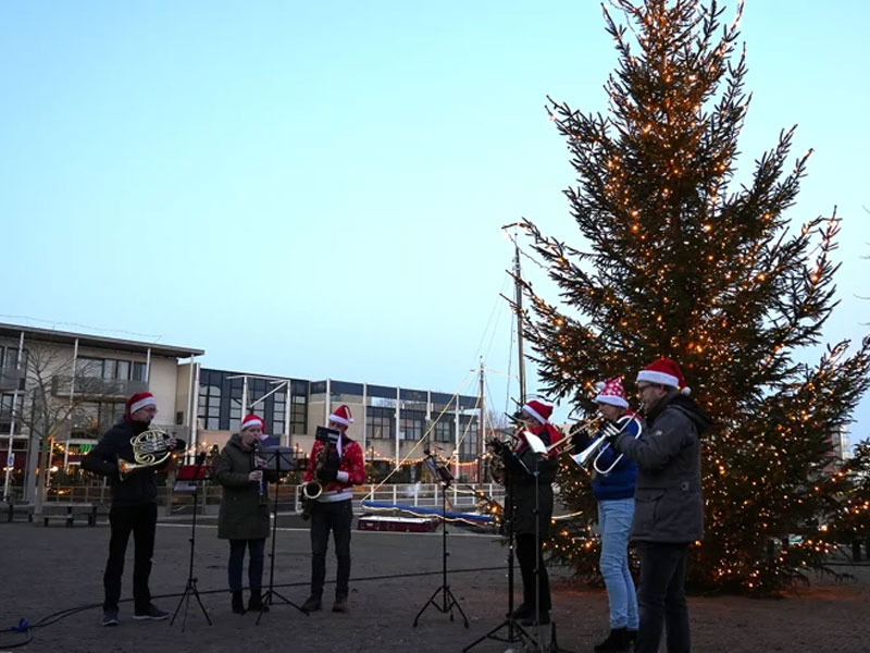 Raadhuisplein Zeewolde krijgt kerstboom