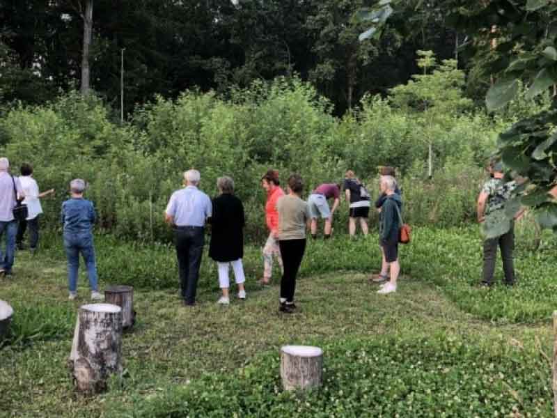 Avond rondleidingen door het Lydia Waterreus Voedselbos op 8 juni