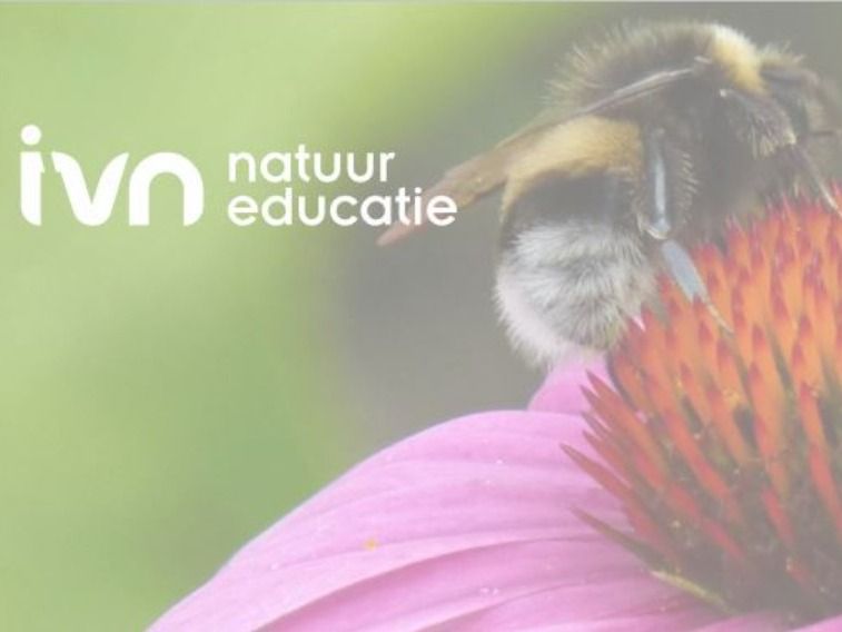 Provincie moedigt Flevolanders aan om tuin groener te maken