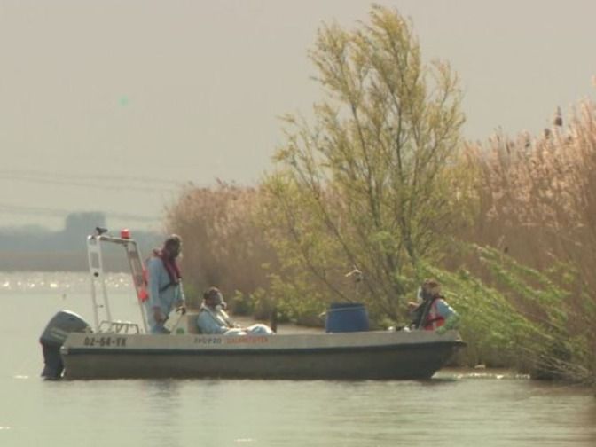 Ook in Eemmeer bij Zeewolde dode meeuwen aangetroffen