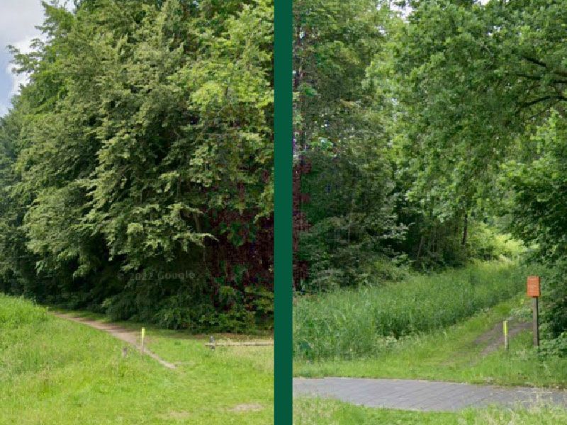 Natuur fotospeurtocht met IVN Zeewolde