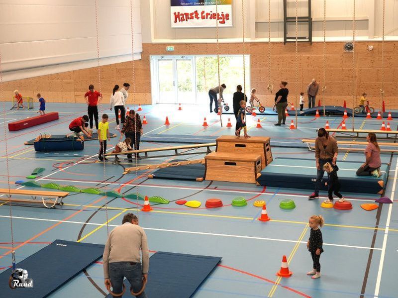 in een gymzaal zijn diverse kinderen aan het spelen en sporten op de blauwemat, de brug en met een bal aan het spelen. 