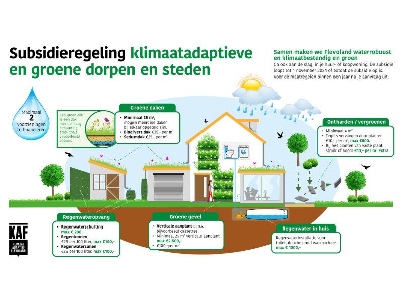 Nieuwe subsidieregeling voor klimaatbestendig maken en vergroenen van tuinen en daken