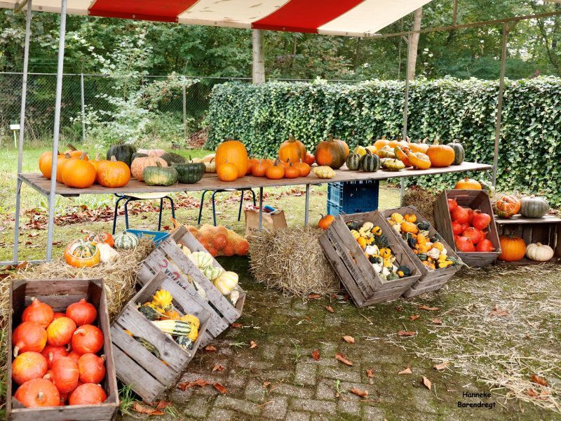 Lekker lokaal markt en knutselen in De Roode Schuur 